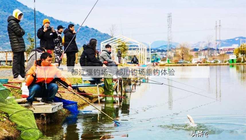 都江堰钓场、都川钓场垂钓体验