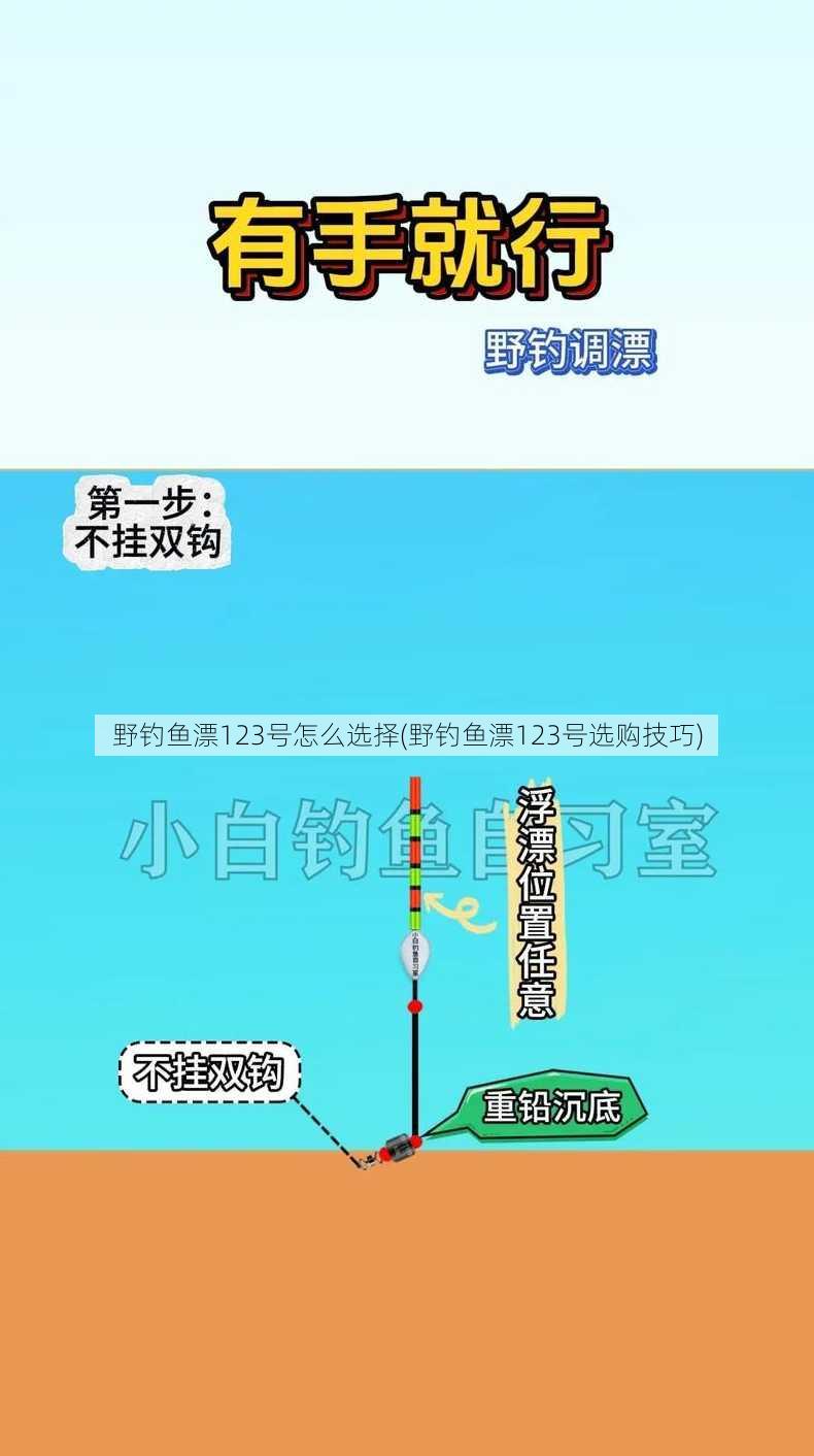 野钓鱼漂123号怎么选择(野钓鱼漂123号选购技巧)