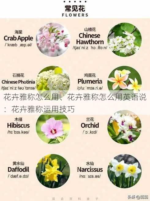 花卉雅称怎么用、花卉雅称怎么用英语说：花卉雅称运用技巧