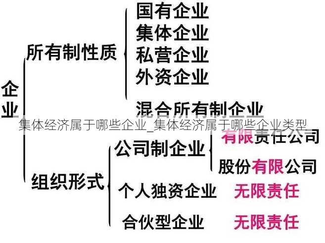 集体经济属于哪些企业_集体经济属于哪些企业类型