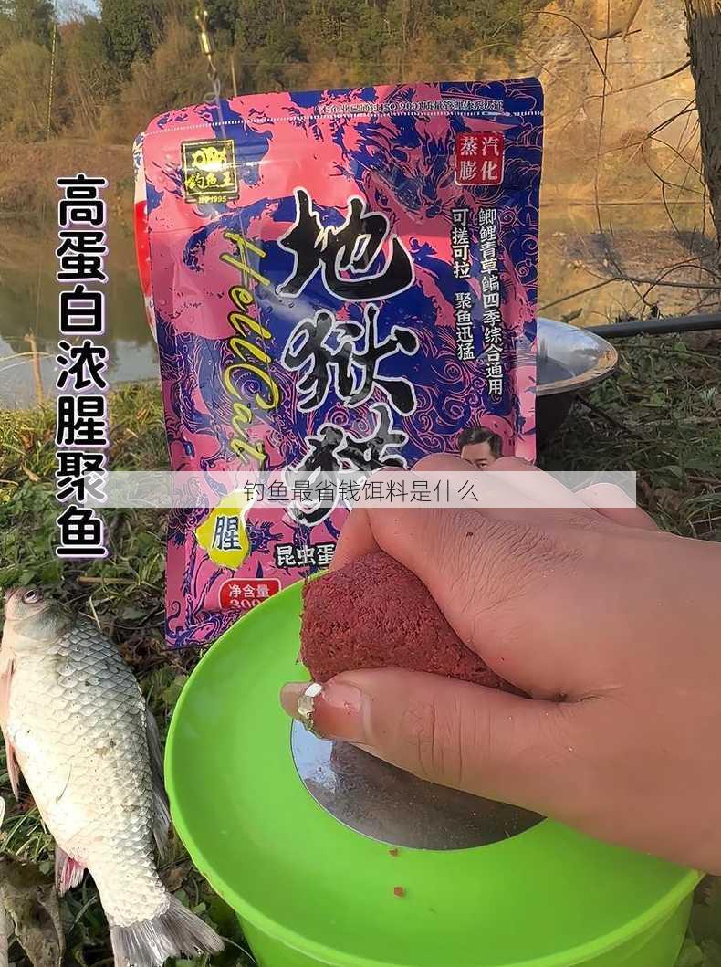 钓鱼最省钱饵料是什么