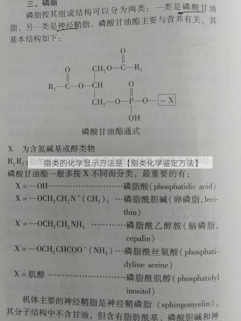 脂类的化学显示方法是【脂类化学鉴定方法】