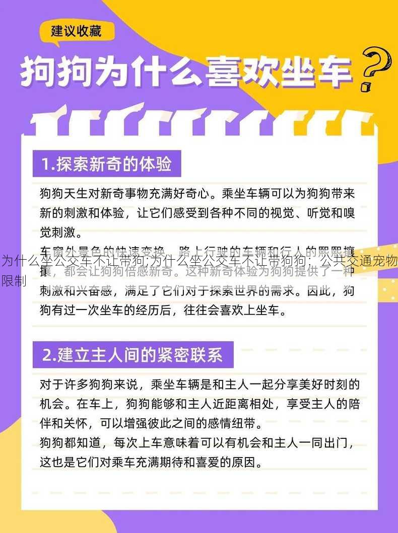 为什么坐公交车不让带狗;为什么坐公交车不让带狗狗：公共交通宠物限制