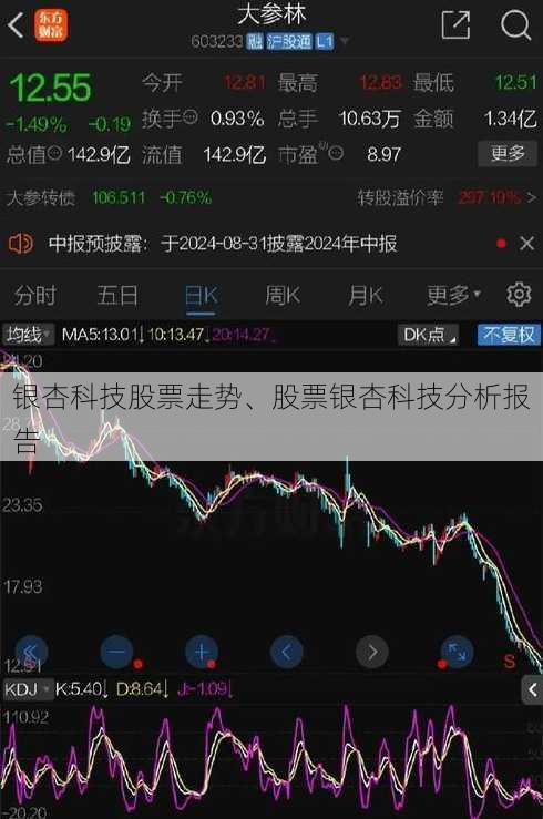 银杏科技股票走势、股票银杏科技分析报告