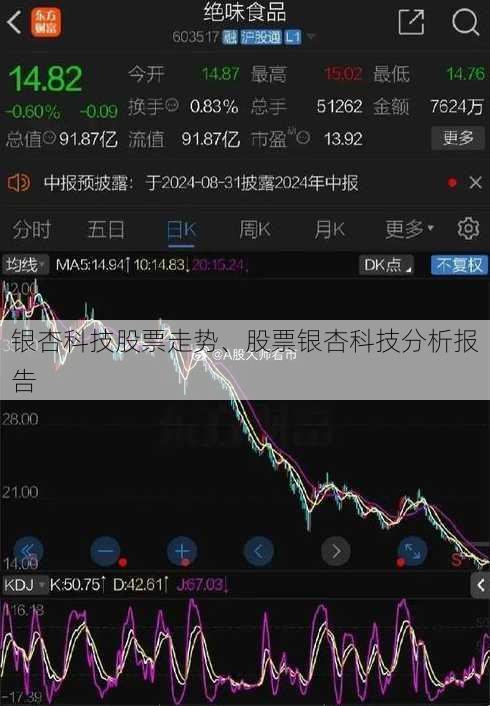 银杏科技股票走势、股票银杏科技分析报告