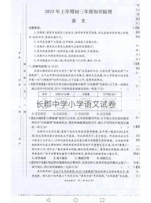 长郡中学小学语文试卷