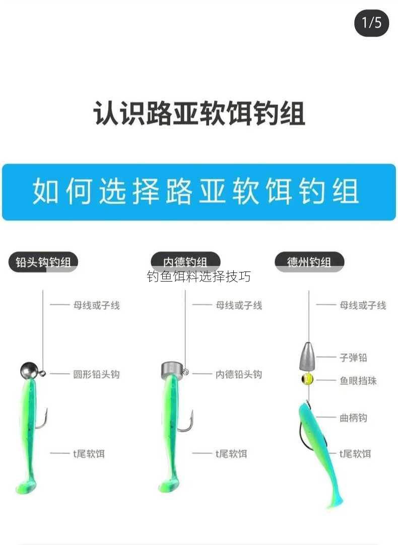 钓鱼饵料选择技巧