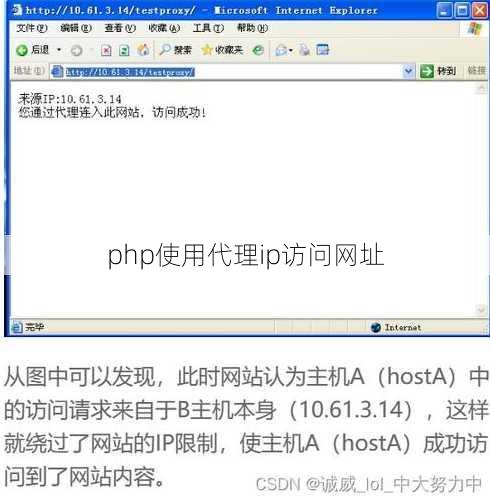 php使用代理ip访问网址