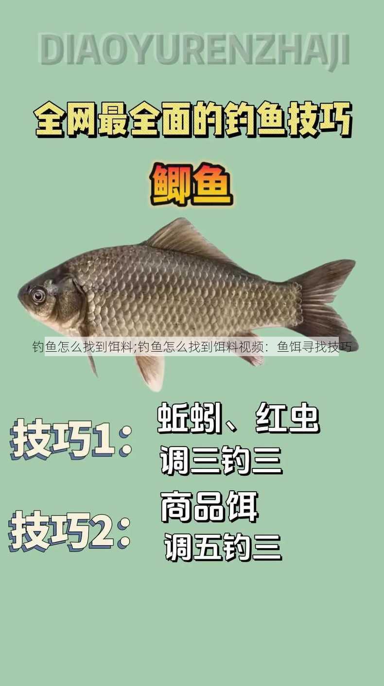 钓鱼怎么找到饵料;钓鱼怎么找到饵料视频：鱼饵寻找技巧