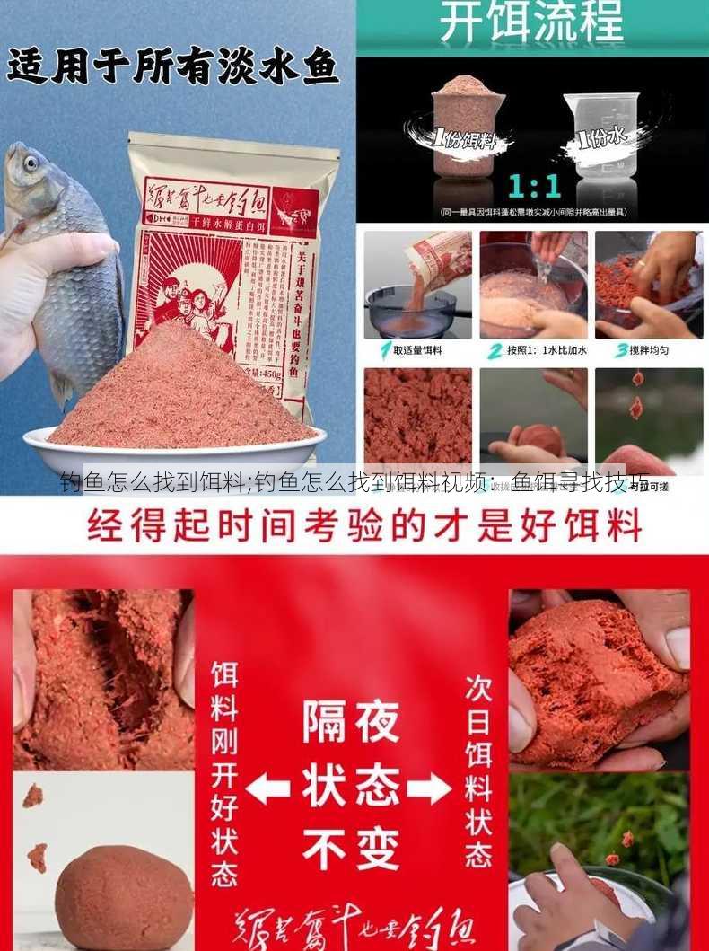 钓鱼怎么找到饵料;钓鱼怎么找到饵料视频：鱼饵寻找技巧