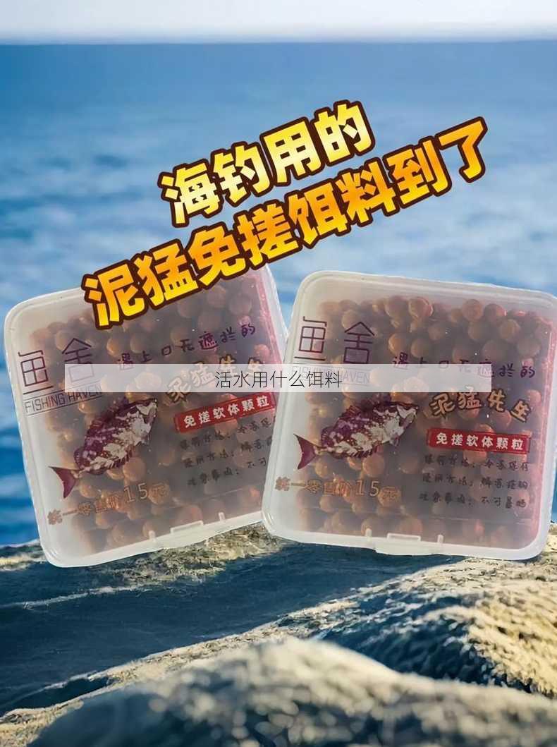 活水用什么饵料