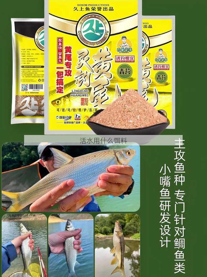 活水用什么饵料