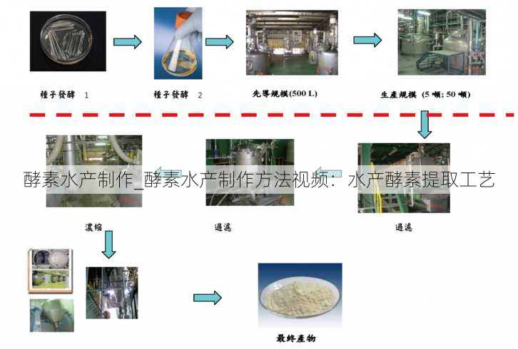 酵素水产制作_酵素水产制作方法视频：水产酵素提取工艺