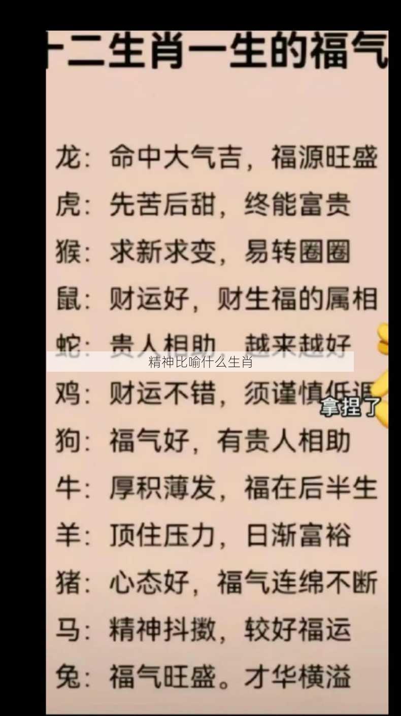 精神比喻什么生肖