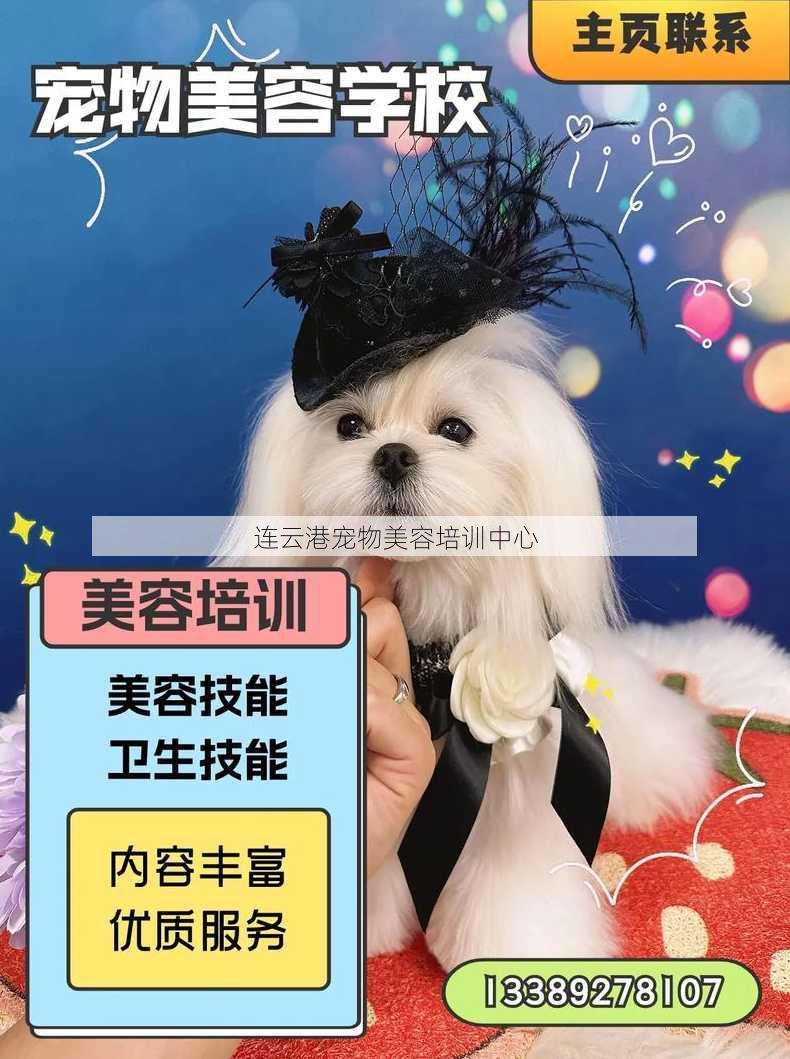 连云港宠物美容培训中心