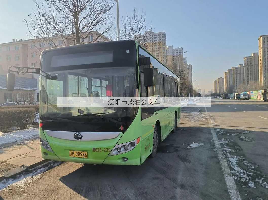 辽阳市柴油公交车