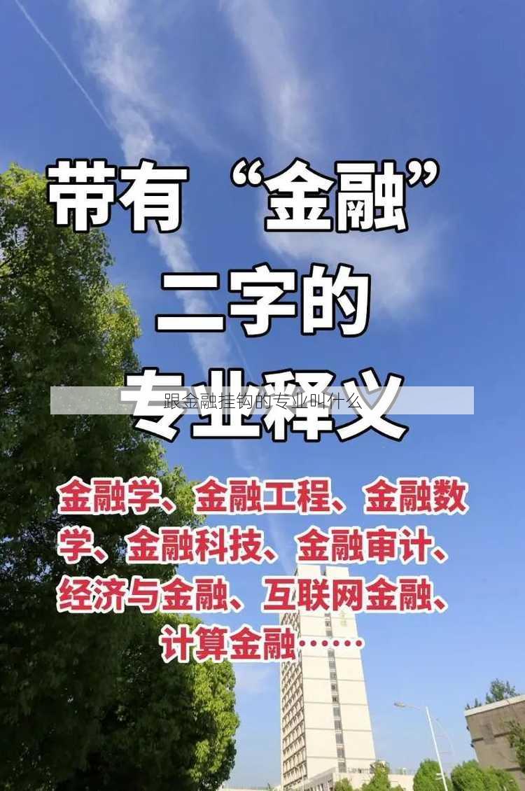 跟金融挂钩的专业叫什么