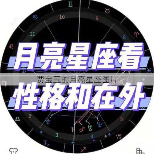 贾宝玉的月亮星座图片