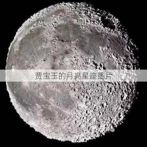 贾宝玉的月亮星座图片