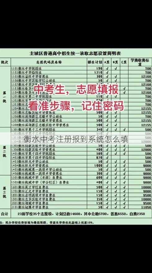 衡水中考注册报到系统怎么填