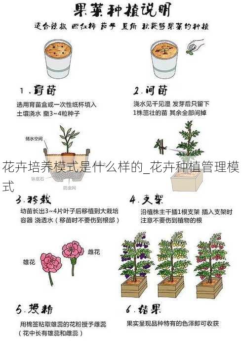 花卉培养模式是什么样的_花卉种植管理模式