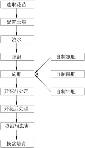 花卉培养模式是什么样的_花卉种植管理模式