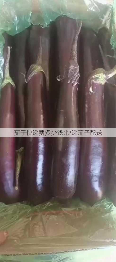 茄子快递费多少钱;快递茄子配送