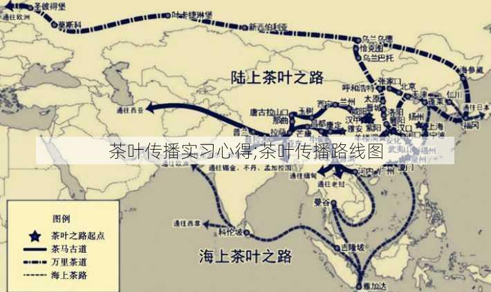 茶叶传播实习心得;茶叶传播路线图