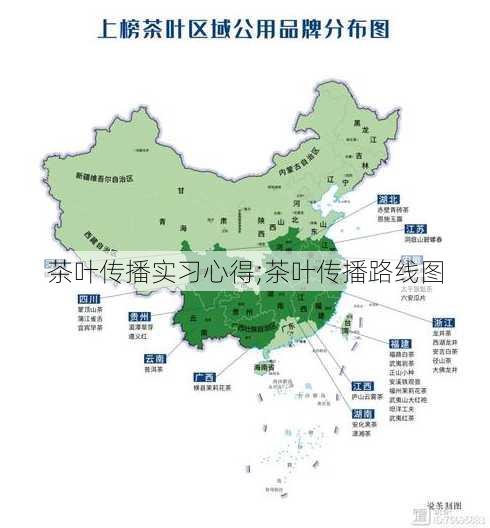 茶叶传播实习心得;茶叶传播路线图