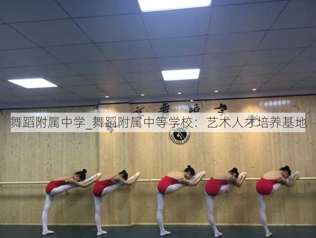 舞蹈附属中学_舞蹈附属中等学校：艺术人才培养基地