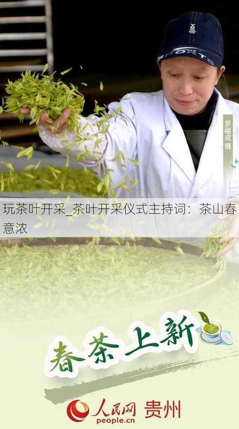 玩茶叶开采_茶叶开采仪式主持词：茶山春意浓