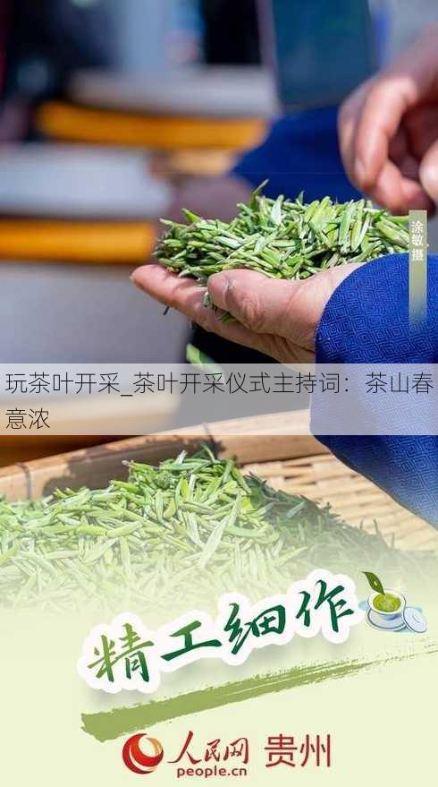 玩茶叶开采_茶叶开采仪式主持词：茶山春意浓