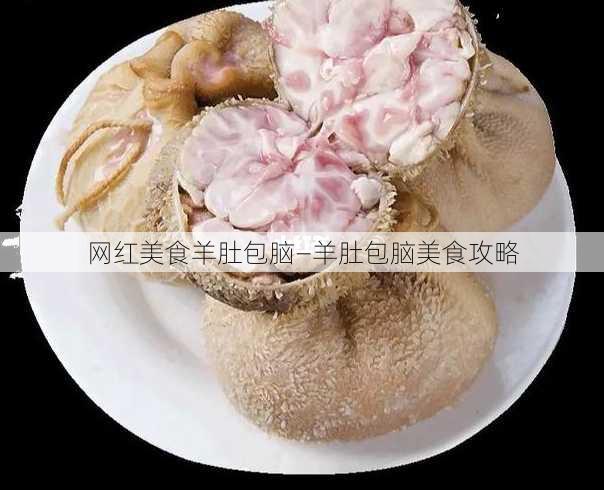 网红美食羊肚包脑—羊肚包脑美食攻略