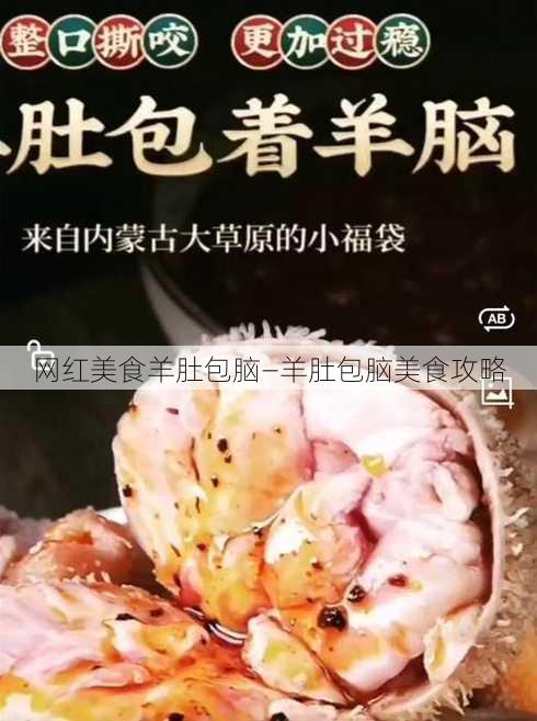 网红美食羊肚包脑—羊肚包脑美食攻略