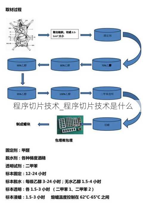 程序切片技术_程序切片技术是什么