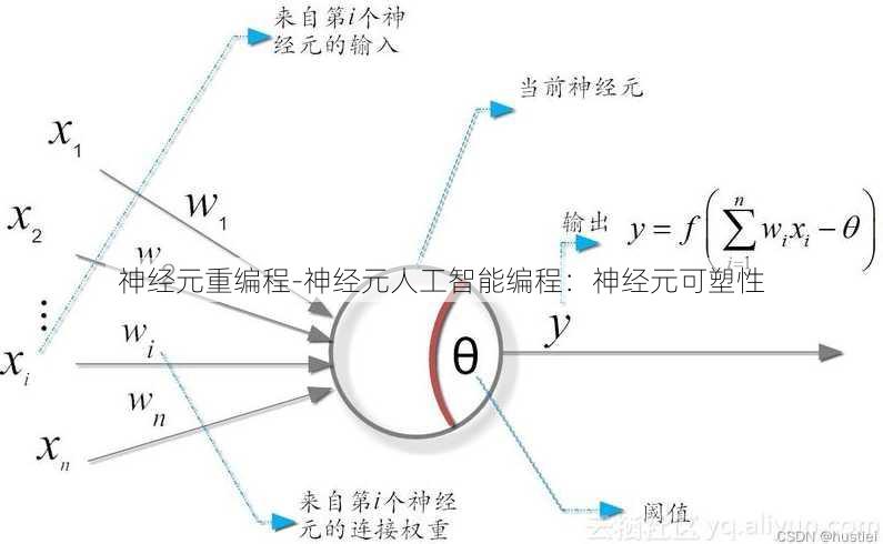 神经元重编程-神经元人工智能编程：神经元可塑性