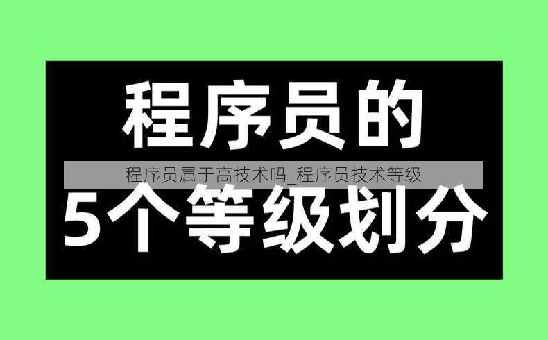 程序员属于高技术吗_程序员技术等级