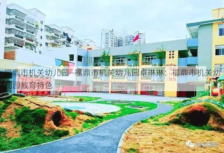 福鼎市机关幼儿园—福鼎市机关幼儿园卓琳琳：福鼎市机关幼儿园教育特色