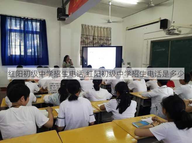 红阳初级中学招生电话,红阳初级中学招生电话是多少