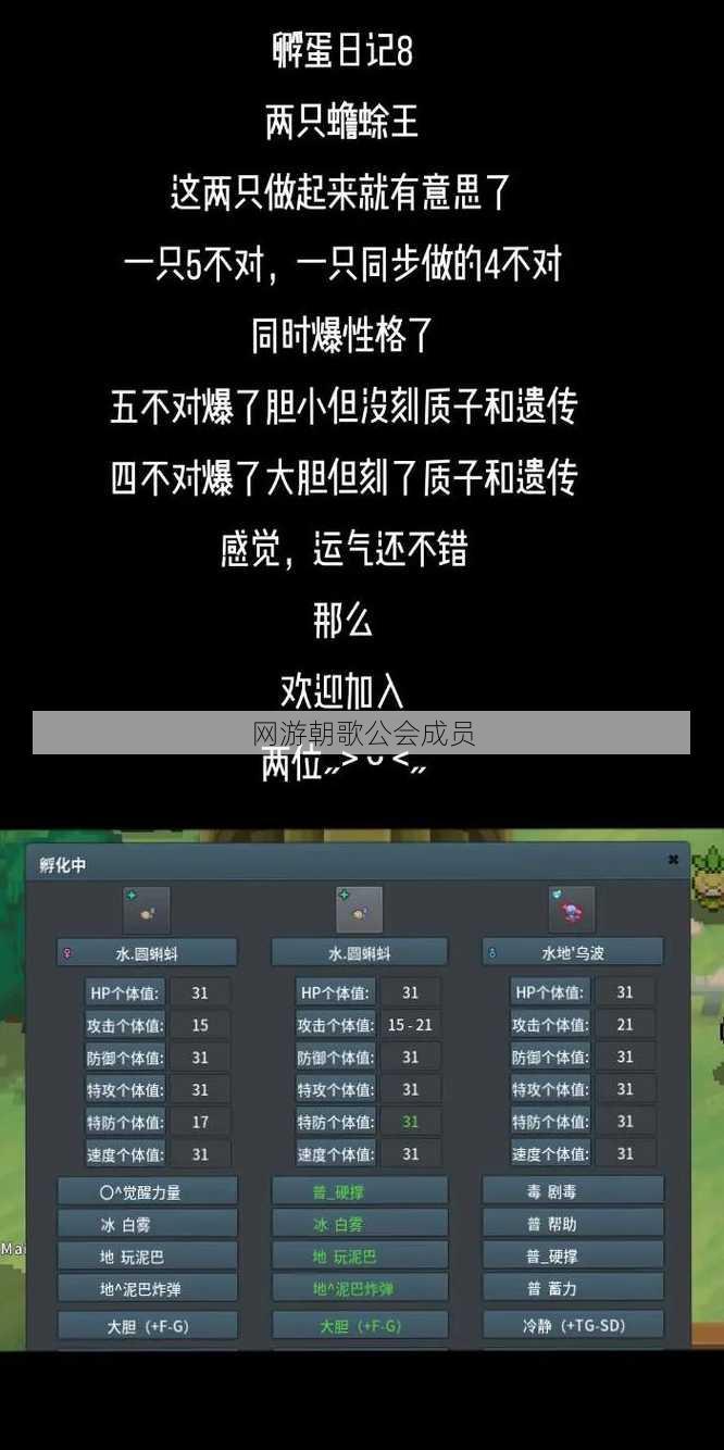 网游朝歌公会成员