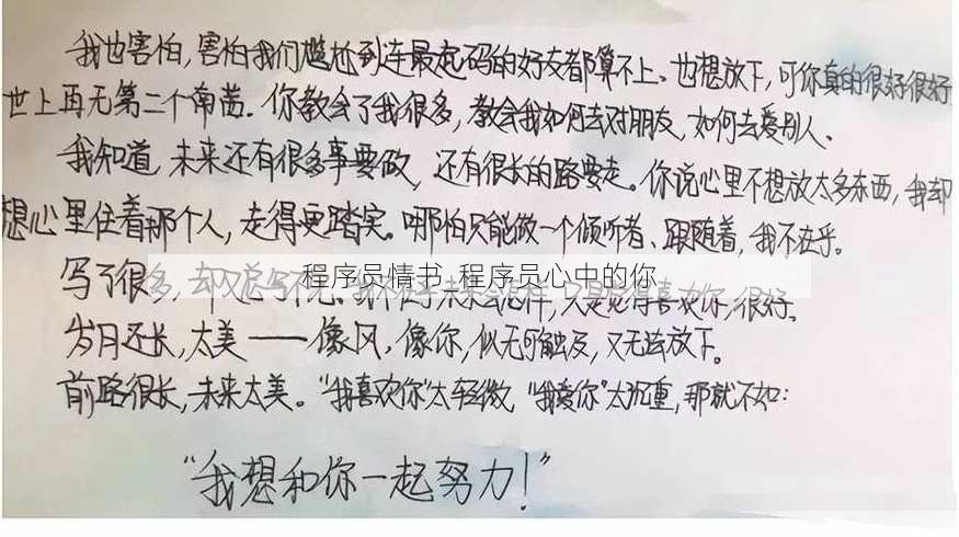 程序员情书_程序员心中的你