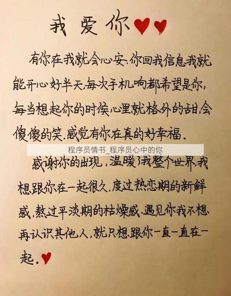 程序员情书_程序员心中的你