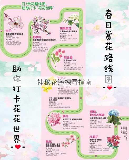 神秘花海探寻指南