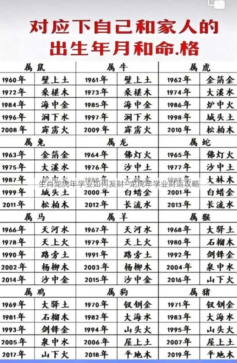 生肖龙虎年学业如何发财—龙虎年学业财运攻略