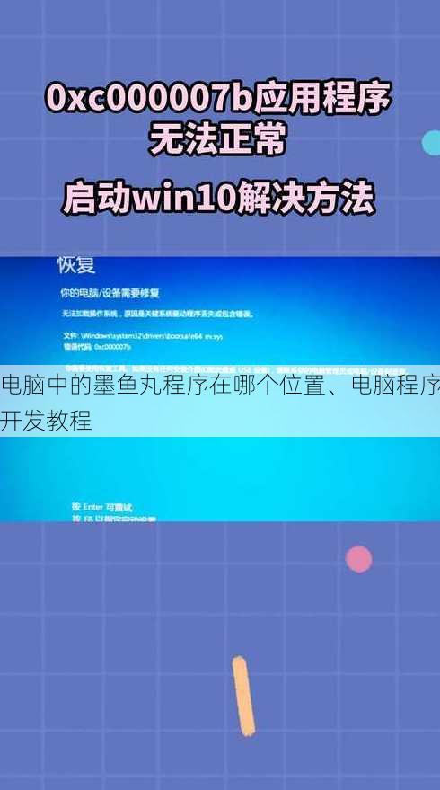 电脑中的墨鱼丸程序在哪个位置、电脑程序开发教程