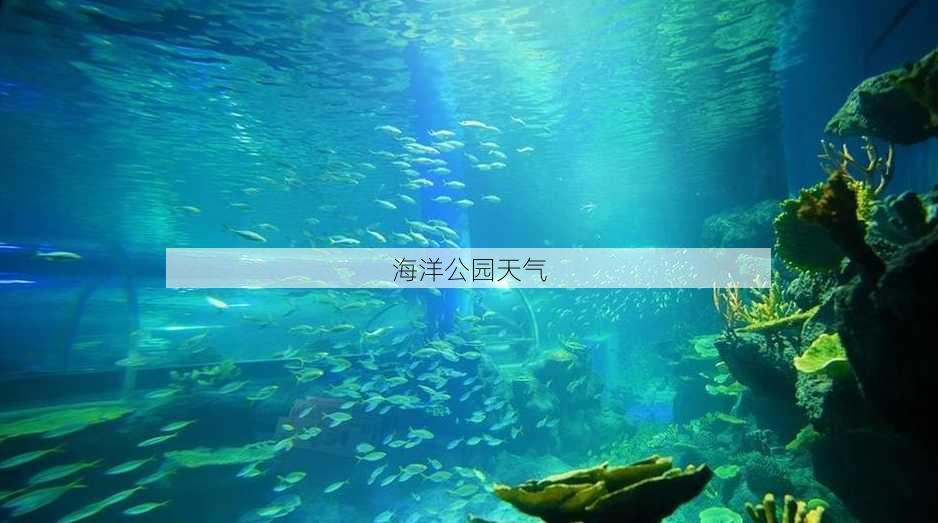 海洋公园天气