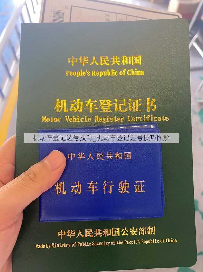 机动车登记选号技巧_机动车登记选号技巧图解