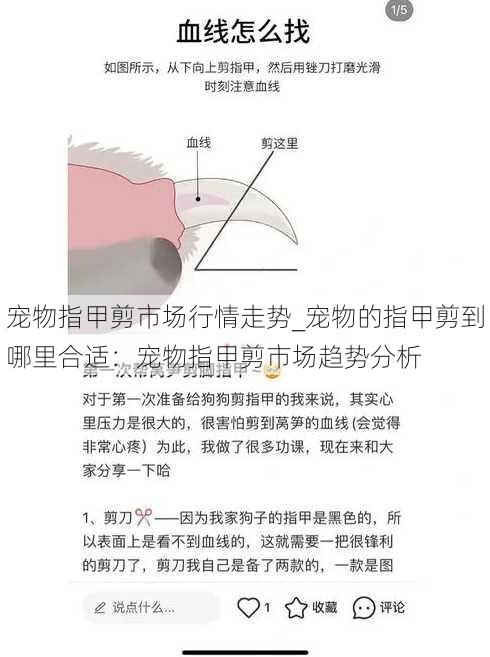 宠物指甲剪市场行情走势_宠物的指甲剪到哪里合适：宠物指甲剪市场趋势分析