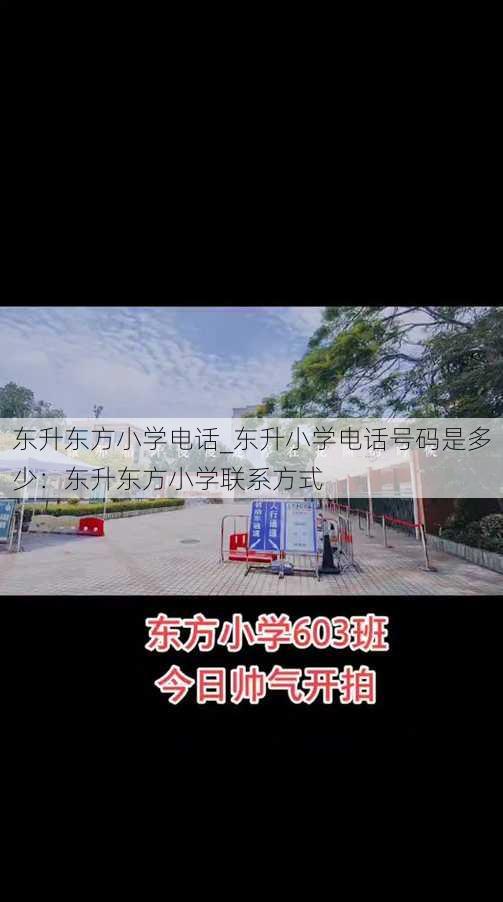 东升东方小学电话_东升小学电话号码是多少：东升东方小学联系方式