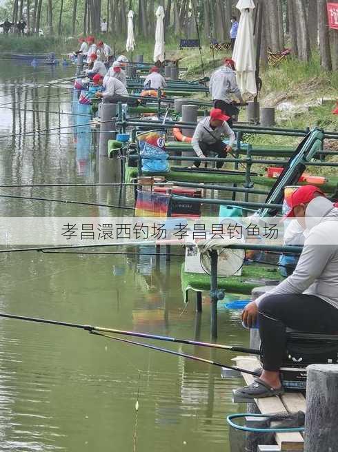 孝昌澴西钓场 孝昌县钓鱼场